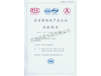 试验报告